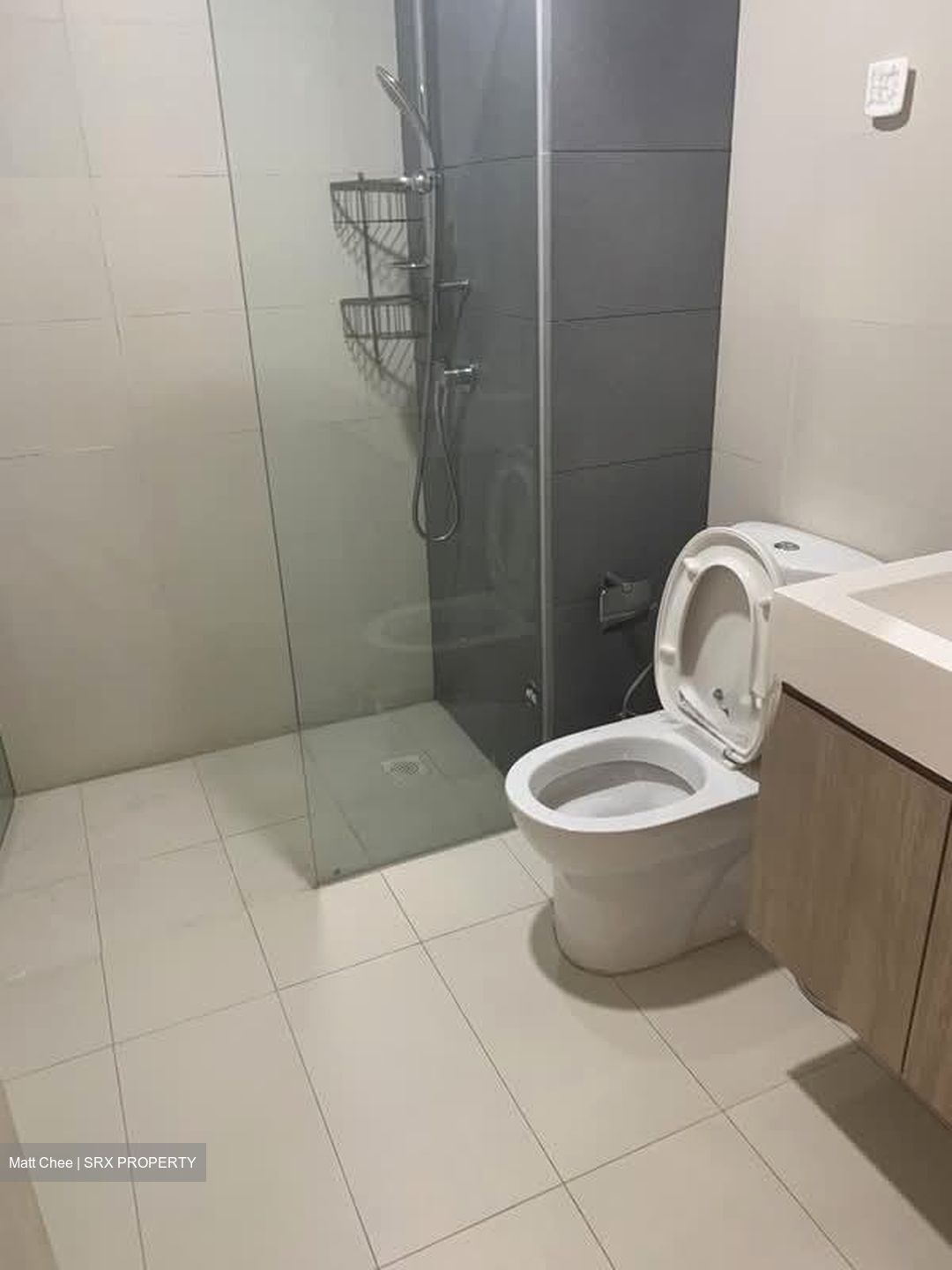 Parc Vera (D19), Condominium #584395091